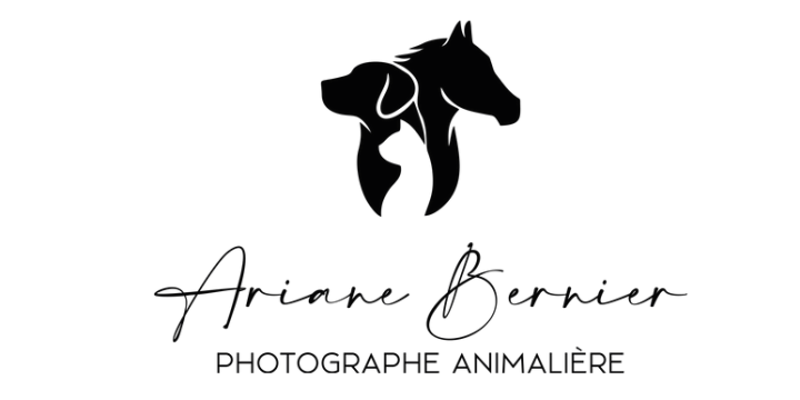 Logo Ariane Bernier