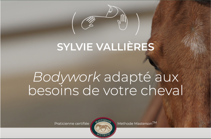 Logo Sylvie Vallières