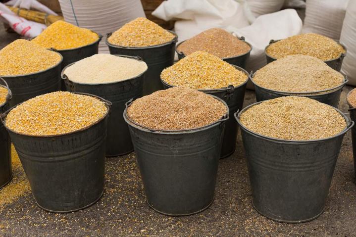 Bélisle Animal Food Sherbrooke